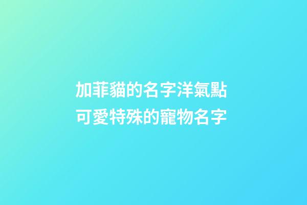 加菲貓的名字洋氣點 可愛特殊的寵物名字